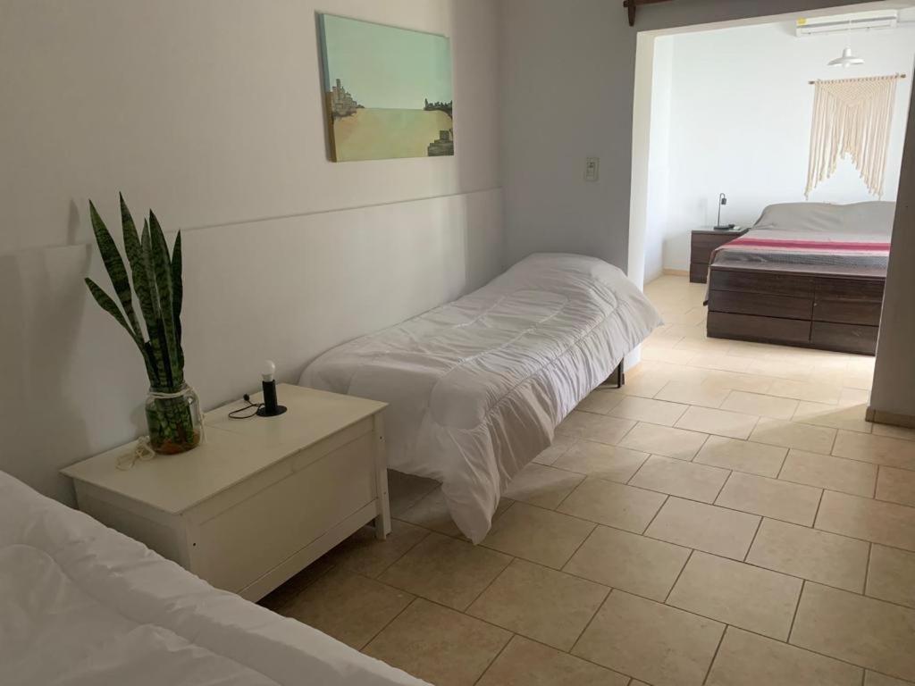 Casa Barrio Jardin Holiday home *